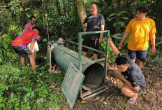 Beruang Madu Muncul di Desa Marah Haloq, BKSDA Kaltim Pasang Kandang Jebak 