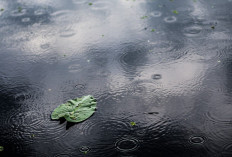 Ramalan Cuaca Kaltim dan IKN, 31 Maret 2026, Cek di Sini!