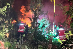 Balikpapan Catat 31 Kasus Kebakaran Lahan, Pepelingasih Desak Usut Sumber Api