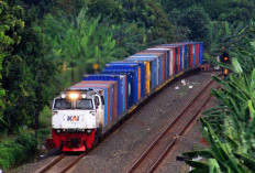 Pembangunan Jaringan Kereta Logistik Kalimantan Tunggu Investor, Pemerintah Pastikan Tak Pakai APBN