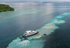 Aktivitas Wisata Jangan Rusak Objek Wisata, Pemkab Berau Sayangkan Insiden Kandasnya Kapal LOB