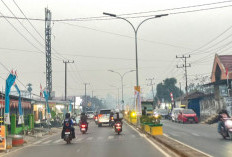BMKG Pantau Nol Titik Panas di Berau, Kabut Asap Mulai Mereda Terdorong Angin