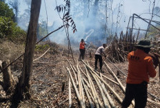 Kebakaran Lahan di Depan Islamic Center PPU Dipadamkan