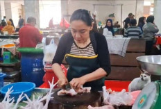 Harga Ayam di Pasar Olah Bebaya Melak Naik Jelang Natal dan Tahun Baru
