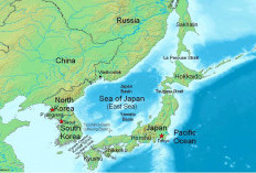 Gempa M 6,7 Guncang Jepang, Peringatan Dini Tsunami Dikeluarkan untuk Tiga Prefektur