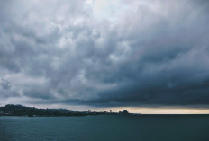 Ramalan Cuaca Kaltim dan IKN, 11 Desember 2025, Cek di Sini!