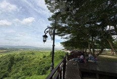 Asyiknya Liburan ke Bukit Pandang di Kutim, Suguhan Panorama Alam jadi Daya Tarik 