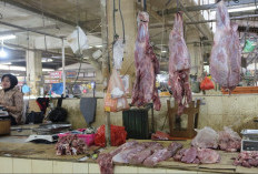 Jelang Ramadan 1447 H, Harga Daging Sapi dan Ayam Potong di Berau Masih Stabil