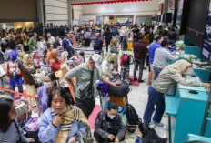8 Bandara Ditutup Sementara, 373 Penerbangan Terdampak Erupsi Anak Krakatau