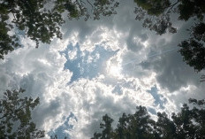 Ramalan Cuaca Kaltim dan IKN, 6 Januari 2026, Cek di Sini!