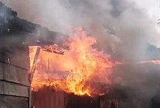 Tega! Remaja Curi HP dan Barang Berharga Lalu Bakar Rumah Korban untuk Hapus Jejak