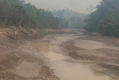 Gawat, Embung Muru Mengering Imbas Kemarau, Distribusi Air PDAM di Kuaro Terhenti 