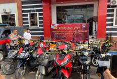 2 Pria di Paser Gasak Belasan Motor Berbekal Kunci L Modifikasi, Polisi Sita 12 Unit