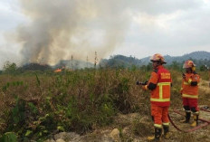 El Nino Berkepanjangan, BMKG Sarankan Petani Kaltim Sesuaikan Kalender Tanam