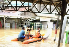 3 Desa di Kutai Timur Terendam Banjir, BPBD Imbau Warga Waspadai Bahaya Buaya