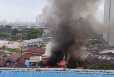 Breakingnews! Kebakaran Melanda di Permukiman Belakang Apartemen Pertamina Balikpapan