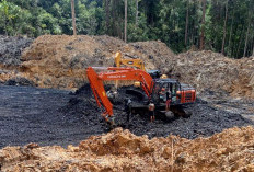 Alat Berat Diamankan sebagai Barang Bukti, PT Berau Coal Imbau Hormati Proses Hukum
