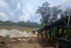 Longsor di Kampung Benggeris Kutai Barat, 3 Rumah Warga di Bantaran Sungai Kedang Pahu Rusak