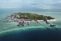 Ancam Sektor Wisata dan Keselamatan Warga, Disbudpar Berau Desak Penanganan Segera Abrasi Pulau Derawan