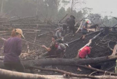 Tokoh Adat Dayak Mahulu Bantah Asap Karhutla Disebabkan Pembakaran Lahan Pertanian