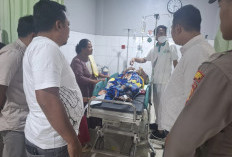 Dalam Sepekan, 2 Warga di Paser Jadi Korban Serangan Buaya