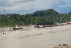 Tak Semua Kapal Terlayani Kapal Pandu, KSOP Samarinda Akui Infrastruktur Saat Ini Belum Memadai