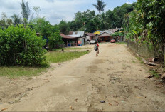 Konsolidasi Tanah 3 Kelurahan di Samarinda Seberang Masih Menunggu Desain Dinas Perkim