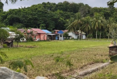 Serap Hasil Panen Petani, Pemkab Kukar Gandeng Bulog Bangun Gudang Pangan
