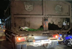 Truk Tua Masih Beroperasi, DLH Samarinda Kekurangan Armada Pengakut Sampah