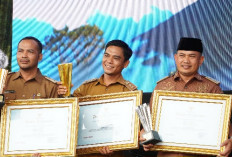Desa Padang Jaya Juara 1 Lomba Desa Tingkat Nasional, Ini Keunggulannya
