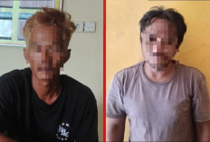 Curi Tiga Ekor Sapi, Pria di Rantau Pulung Dibekuk Saat Hendak Kabur ke Sangatta 