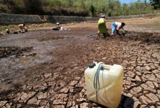 Kemarau Makin Meluas, BMKG Sebut Hujan Masih Berpotensi Turun di Kaltim