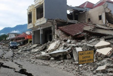 Data Terbaru BPBD NTT: 7.968 Rumah dan 744 Fasum Rusak akibat Gempa M7,7