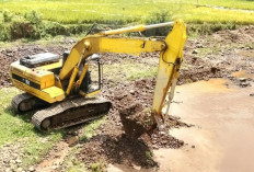 Sungai Dibendung Perusahaan Sawit, DLH Kaltim Turun ke Kutim