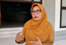 DLH Kutim Siapkan Langkah Tegas terhadap Perusahaan yang Abaikan Kewajiban Lingkungan