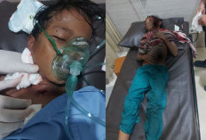 Bocah 11 Tahun di Bontang Diserang Buaya, Warga Diminta Tingkatkan Kewaspadaan