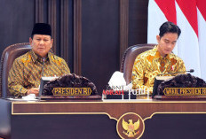 Prabowo Stop Izin Pengelolaan Hutan, IUP dan HPH Lama Ditinjau Ulang