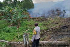 Kabut Asap di Kukar Mulai Terasa, Bupati Imbau Sekolah Kurangi Aktivitas di Luar Ruangan