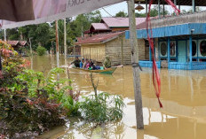 BPBD Kaltim Sebut Banjir di Kutim Mulai Surut