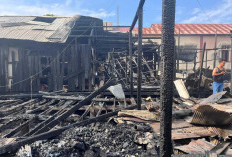Korsleting Listrik Diduga Picu Kebakaran di Sepaso, Korban Alami Kerugian Capai Rp200 Juta