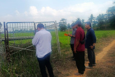 2.000 Hektare Sawah Terancam Gagal Panen akibat Kekeringan, Pemkab Kukar Surati Kementan