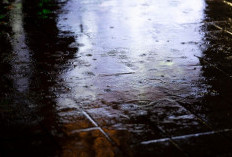 Ramalan Cuaca Kaltim dan IKN, 26 Februari 2026, Masih Berpotensi Hujan!