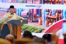Presiden Prabowo Ancam Pemilik Konsesi Tambang, Mangkrak Lebih 2 Tahun Akan Dicabut!