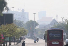 Balikpapan Diserang ISPA, Bersamaan dengan Kabut Asap Akibat Karhutla 