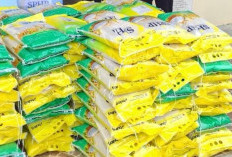 DKP Paser Distribusikan Suplai Pangan ke 5 Outlet Desa Rawan Pangan