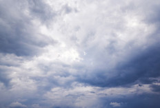 Ramalan Cuaca Kaltim dan IKN, 16 Februari 2026, Cek di Sini!