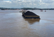 Cegah Kandas, KSOP Keluarkan Edaran Pembatasan Muatan Tongkang di Sungai Mahakam