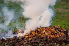 Pemkab Paser Larang Warga Bakar Sampah Selama Kemarau, Antisipasi Karhutla