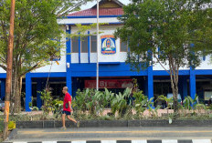 Persoalan Penukaran Akun Kelas Pintar pada 2024, Disdik Balikpapan Sebut Tak Berdampak pada Kelulusan Siswa
