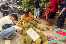 Lapak Durian Menjamur di Paser, Rp70 Ribu Bisa Dapat Ukuran Jumbo